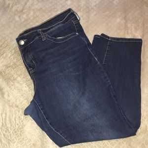 Torrid Skinny Jeans Size 18XS
